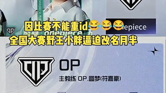 因比赛不能重ID 全国大赛野王逼迫改名月半