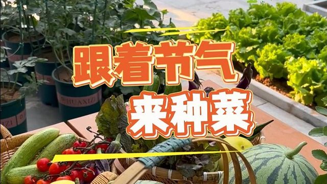 别管种不种菜，都可以了解一下这个种菜小知识