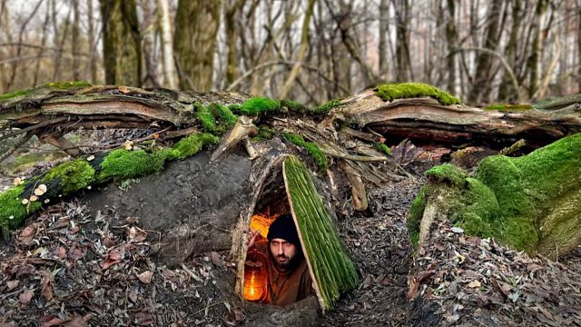 寒冷潮湿的灌木丛林，我和狗子躲在了树根下，安全的睡上了一夜