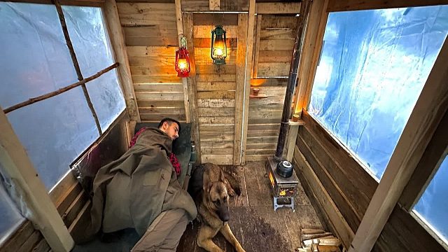 在海拔三千米的森林，建造一间木屋，冬季来临带上我的狗窝在里面才舒服