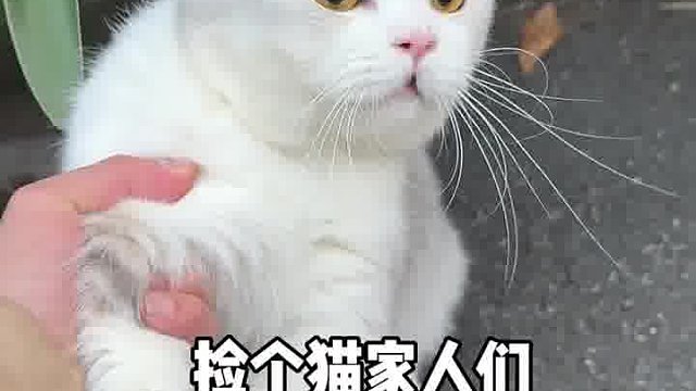 它非要跟我回家咋办