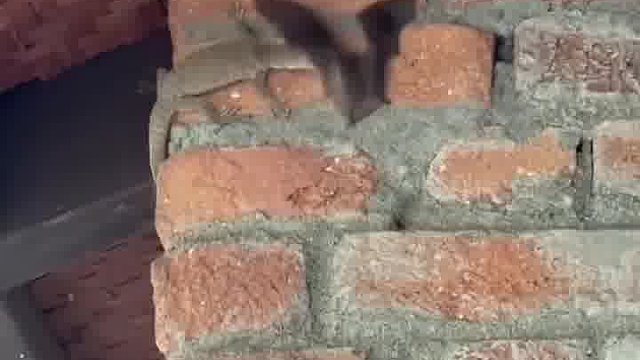 这家伙不是只抓蚊子，飞蛾吗，怎么抓起麻雀来了