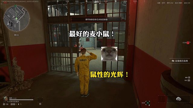 有史以来遇到过最好的麦小鼠！鼠性的光辉！