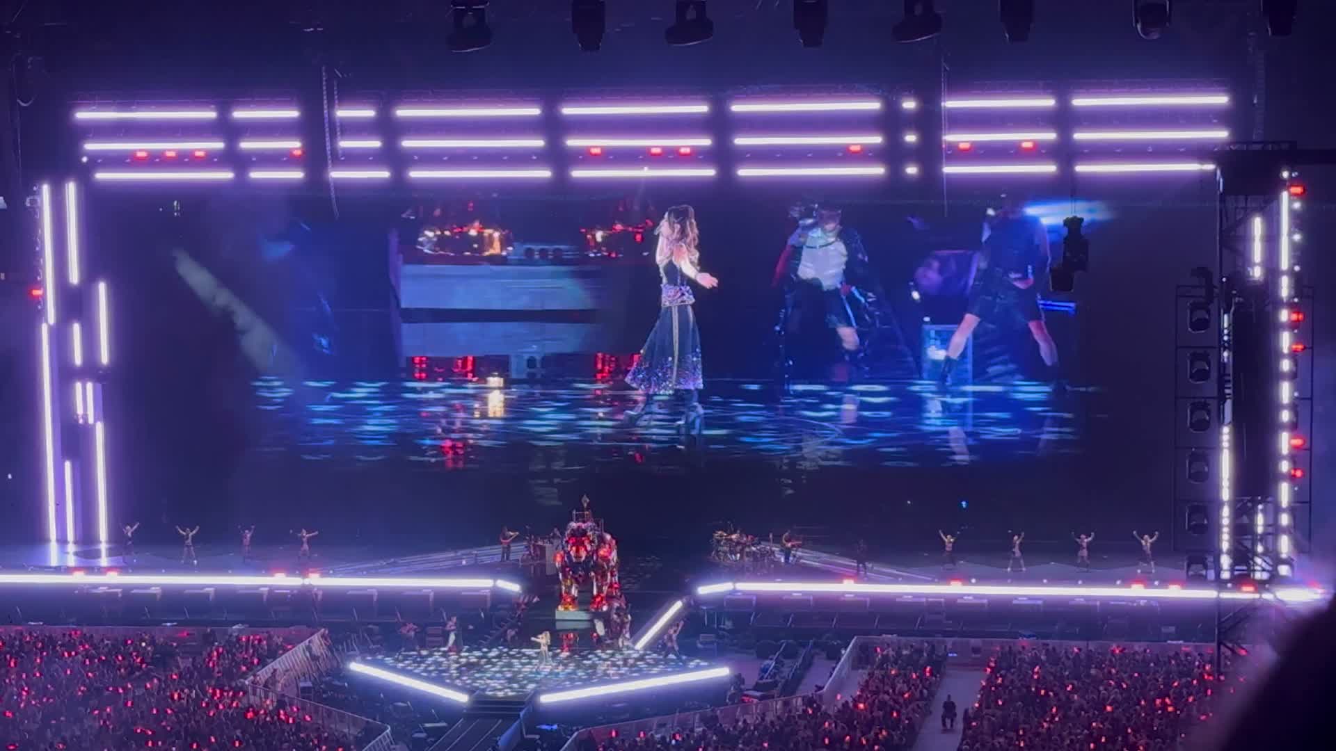 香港启德场灰狼