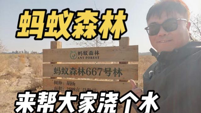 替你们看了，我的蚂蚁森林真长出来了！沿途还发现明代烽燧！