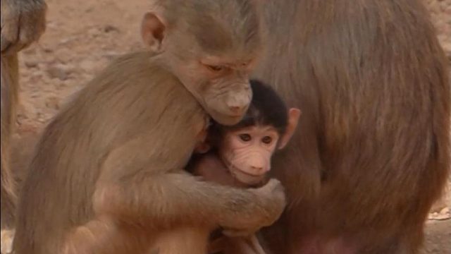 ：谁家妹妹这么可爱呀，原来是自家的