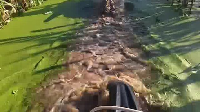 上学从来不带本只因哥们骑的是波速尔