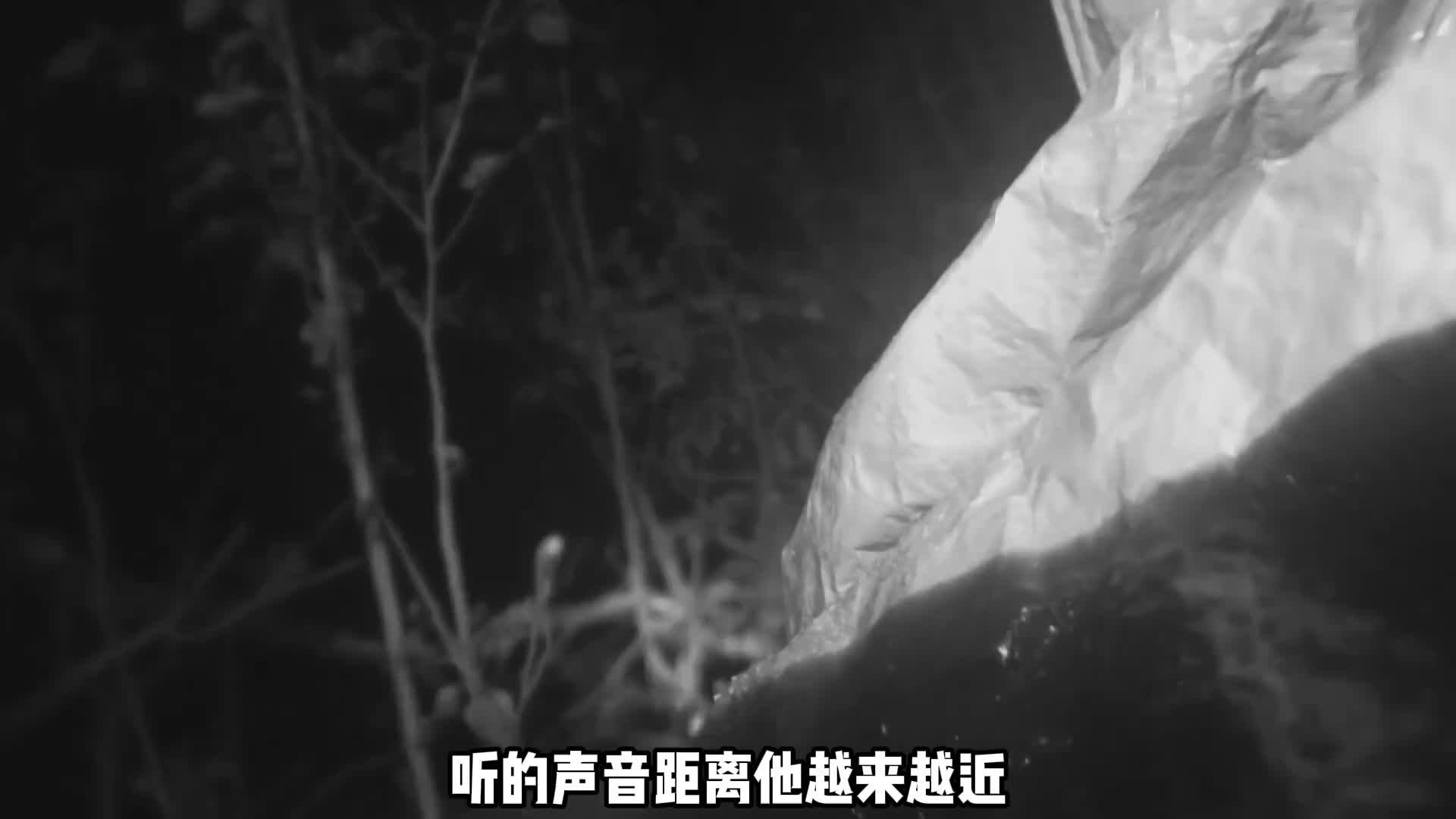 独居第三季大佬上演徒手抓鱼，这实力如果不进前三就可惜了 (2)