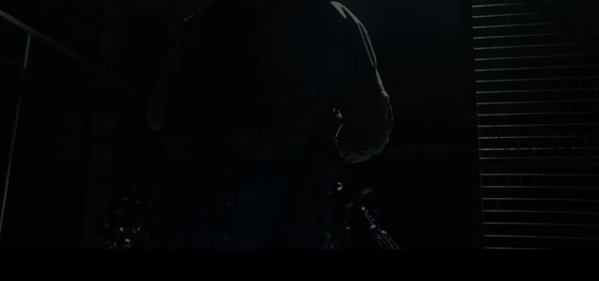 《捕风追影》第一人称抢先预告 孩子们都说我老了，想试试我还能否握的住刀 #