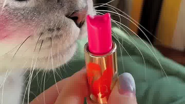 今天的妆我很满意