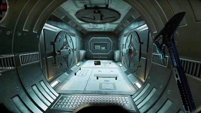 真正的双持滑膛枪