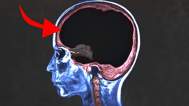 一位男性向ChatGPT咨询了医疗建议，这是他的大脑发生的变化