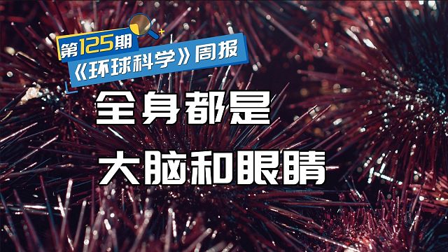 这种生物全身都是大脑和眼睛，正被端上人类餐桌《环球科学》周报第125期