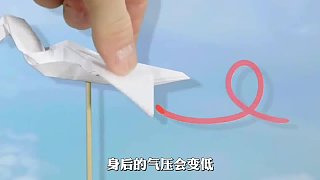 太神奇了，大雁南飛，為什么要排成人字形呢？難道通靈性？