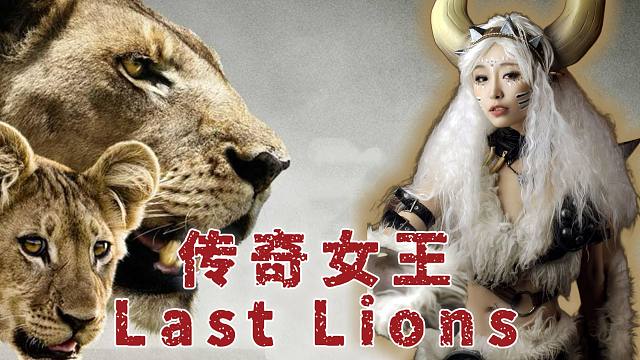 我将誓死追随你！精神领袖马蒂陶。泪目【最感人的狮子纪录片】传奇女王 纪录片 小说都写不出的剧情