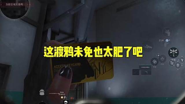 这渡鸦未免也太肥了吧