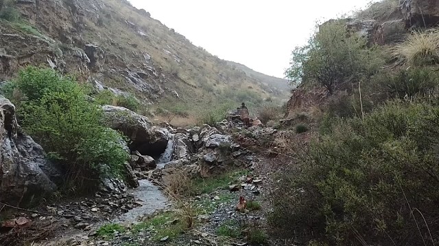 荒山野岭，小伙独自一人荒野艰难生存