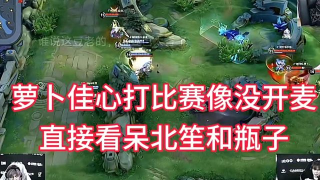 萝卜佳心打比赛像没有开麦，毫无沟通，直接给北笙和瓶子看傻了