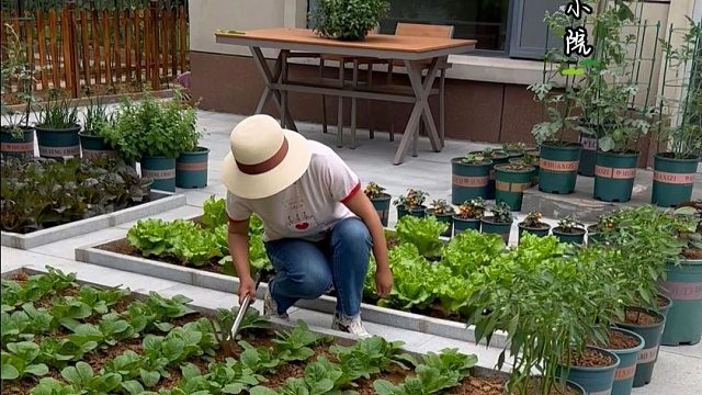 有人是房奴、车奴，而我是菜奴