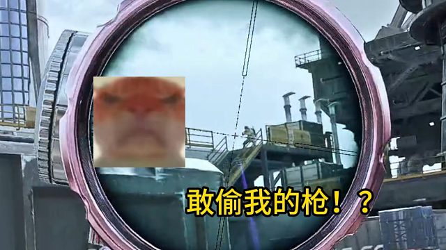 可恶的鼠鼠竟敢偷我的枪！