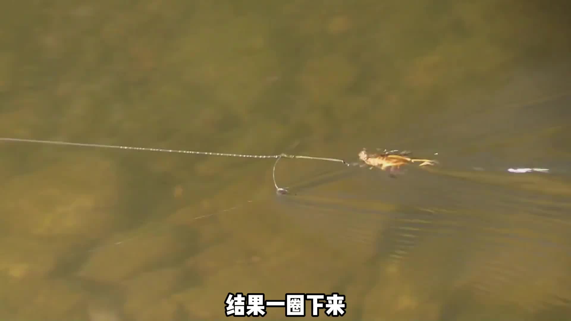 独居第五季在蒙古展开了决战，这是前四季大佬复活赛全是高手 (3)