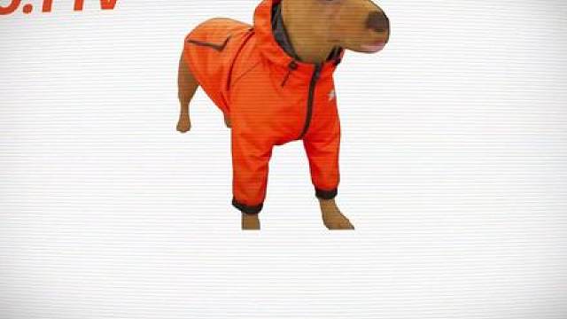 唐人日记之破防