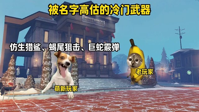 被名字高估的冷门武器