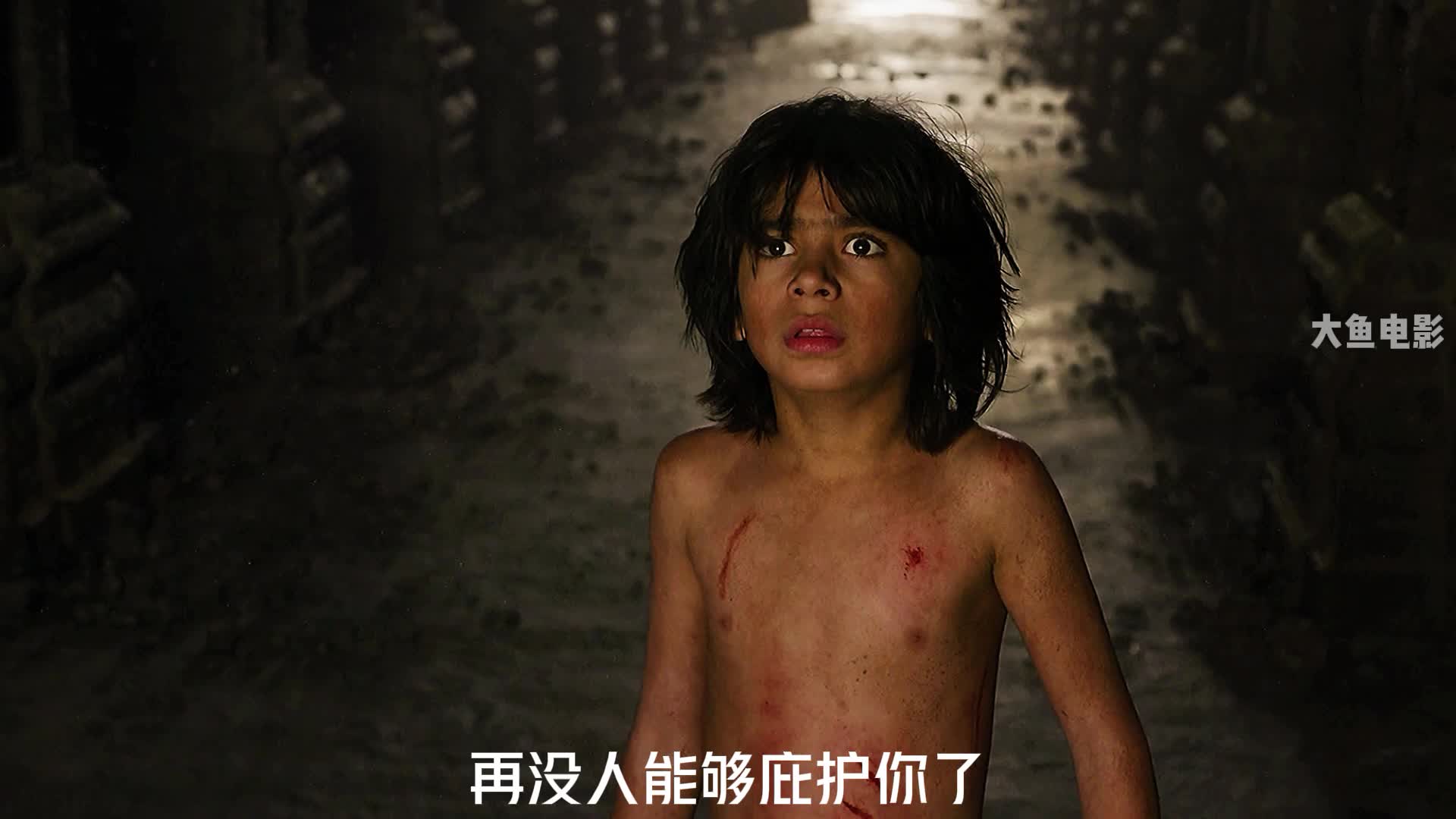 第3集丨奇幻森林