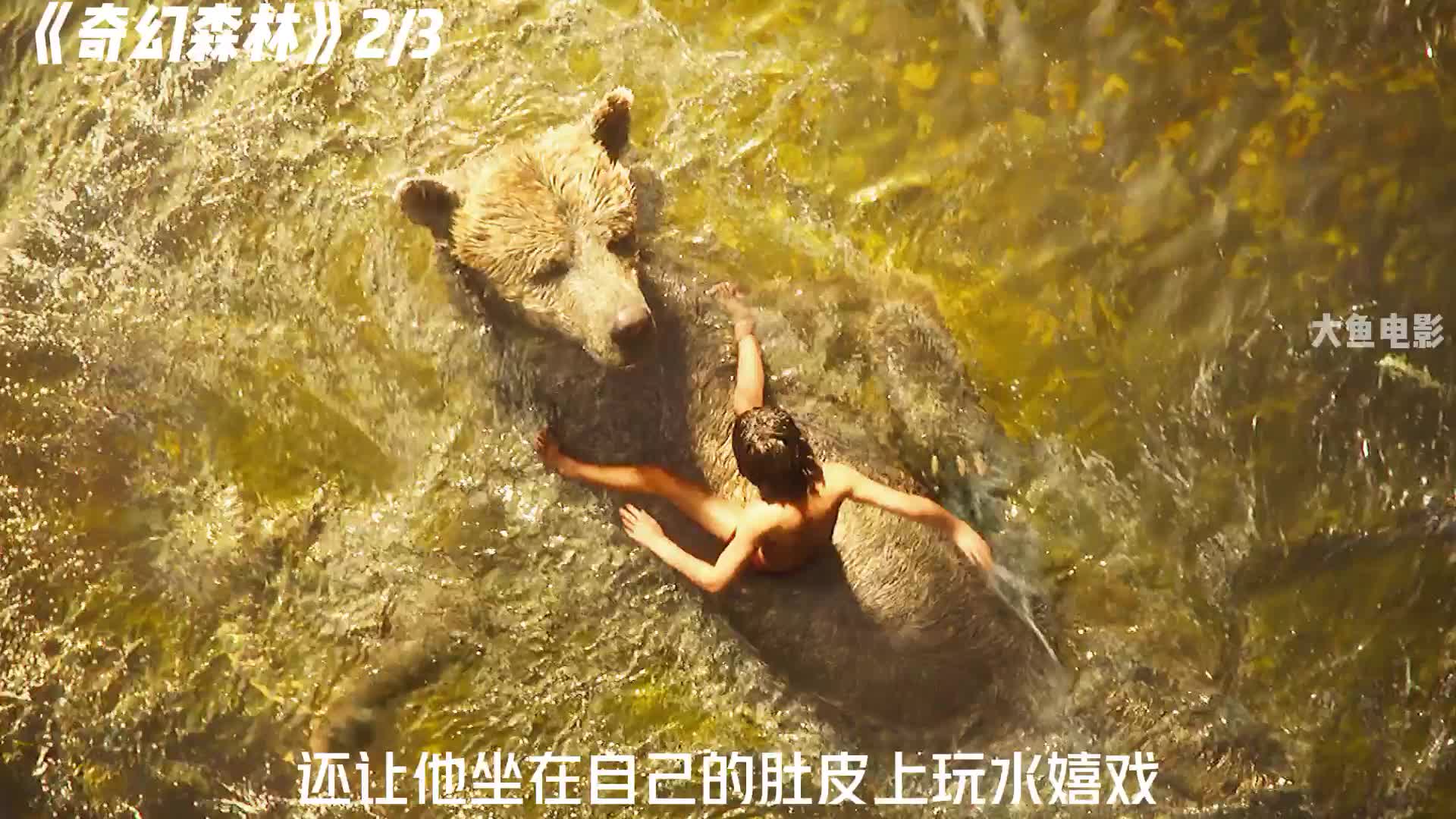 第2集丨奇幻森林