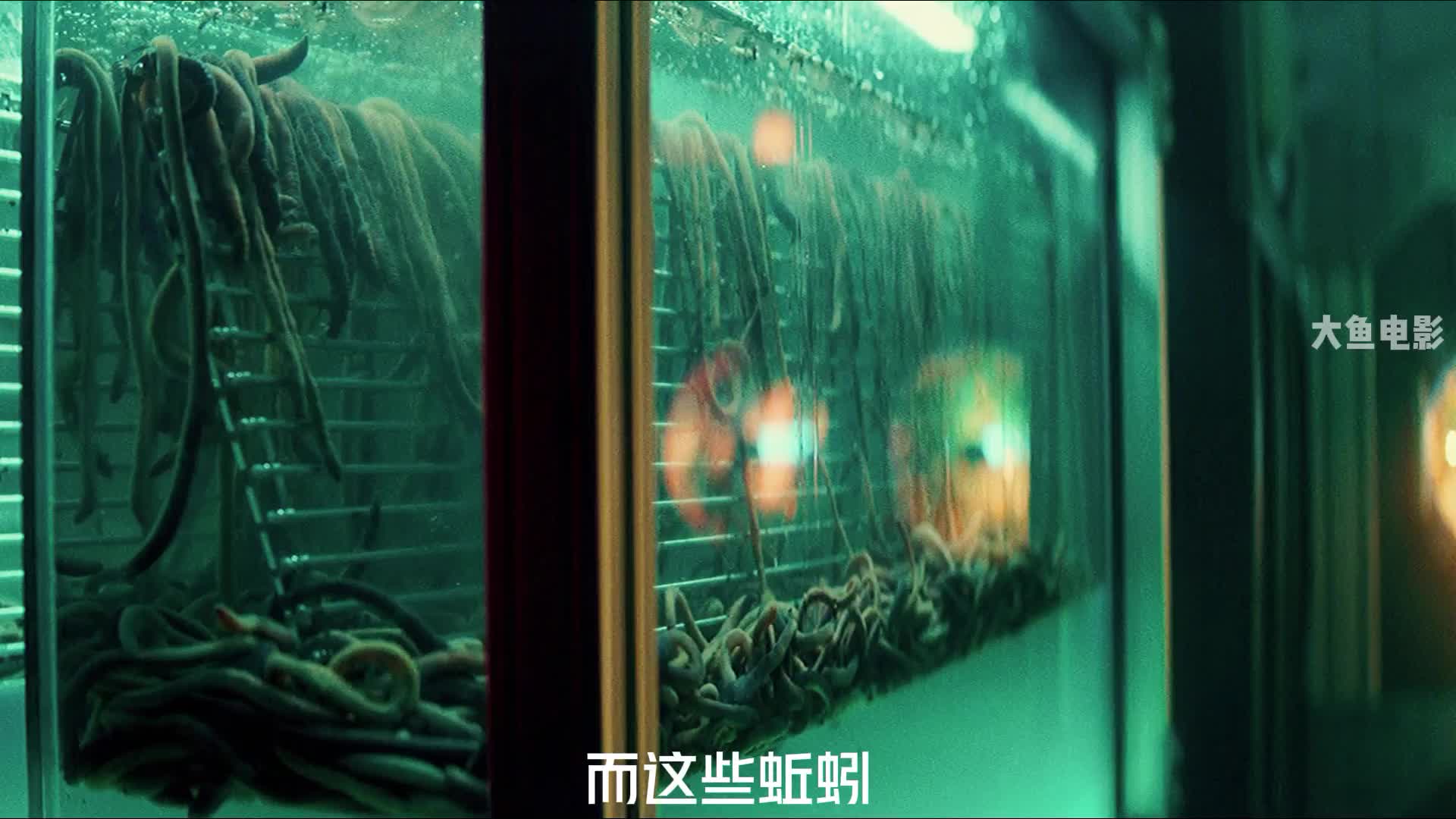 第2集丨科洛弗悖论