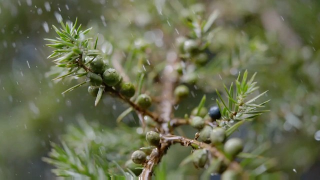 冠军.乔0907为热爱记录美好生活