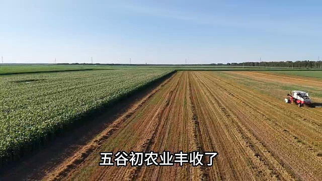 东北丰收季节