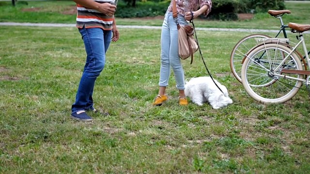 冠军.乔0907为热爱记录美好生活