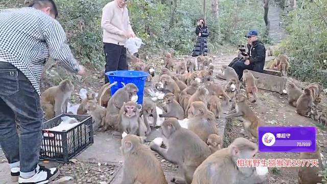 600个馒头，遇到好心小哥哥小姐姐送到山顶