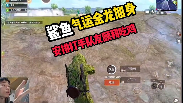 《鲨鱼气运金龙加身》