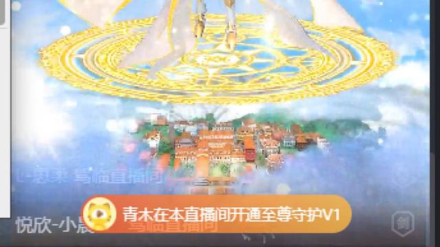 感谢龙龙至尊守护