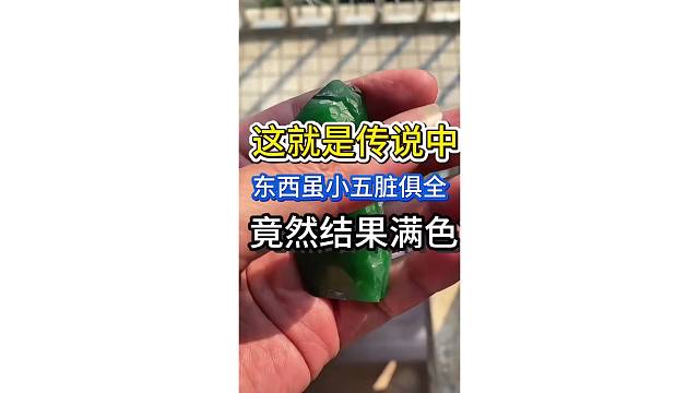 东西虽小五脏俱全
