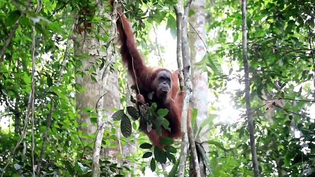 冠军乔0907为热爱记录美好生活