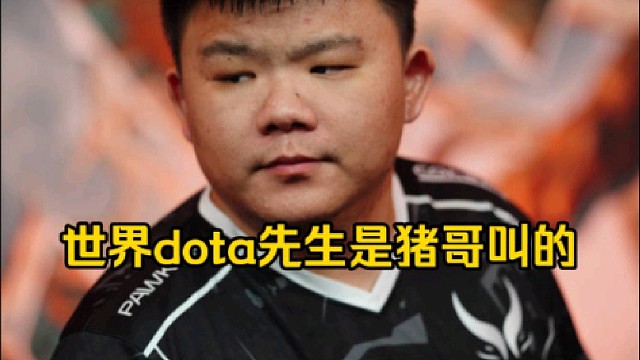 Xinq：世界dota先生是猪哥发明的，没有从猪哥以外的人听到过这句话！