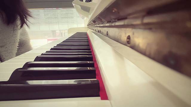 一千个伤心的理由