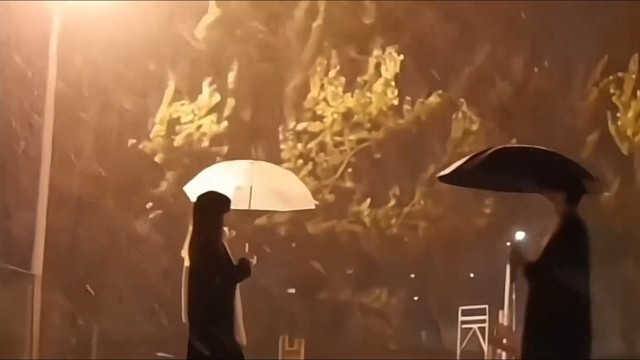 我从不怀疑真心 但真心瞬息万变