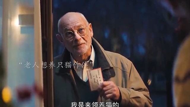 爷爷收养一只流浪猫，没想到流浪猫给他带来了好运#看电影#