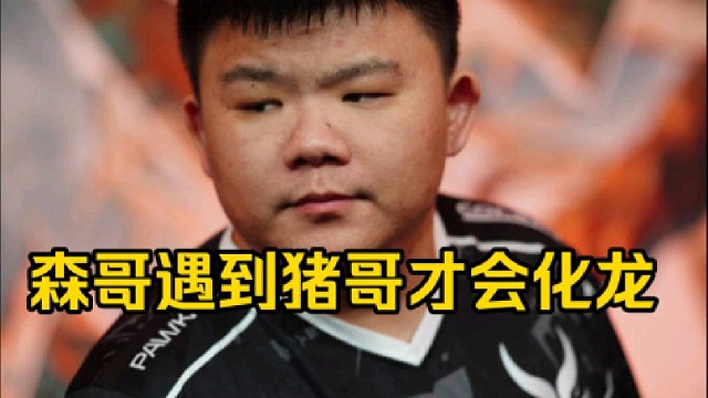 Xinq：之前有个弹幕一直在刷森哥只有遇到猪哥才会化龙，想你了，查猪！