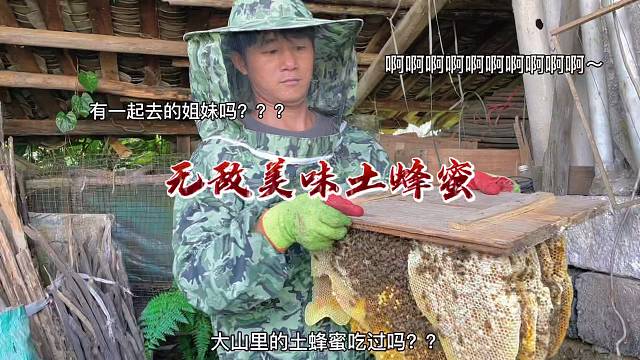 生活虽然有点苦但是土蜂蜜很甜，老人小孩都爱吃甜蜜的味道