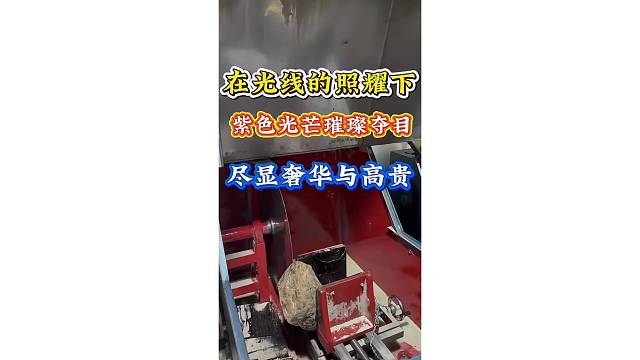 紫罗兰呈现温润油脂光泽光线照耀下紫色璀璨夺目尽显奢华与高贵。