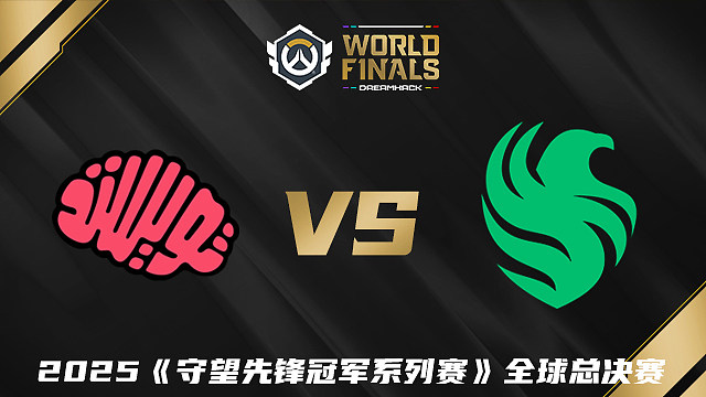 【回放】TM vs FLC 2025守望先锋冠军系列赛全球总决赛D4