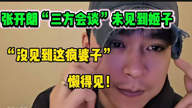 张开朗表示此次“三方会谈”未见到罗玉姬子，直言她是个“疯婆子”！