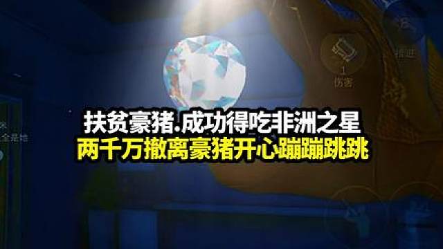 扶贫豪猪出非洲之星，喜提两千万撤离.豪猪开心的蹦蹦跳跳