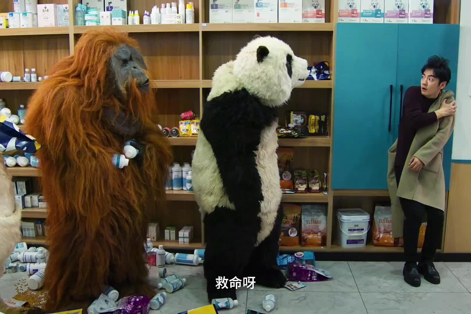 同事化身动物暴揍渣男，警察蜀黍看到渣男的一刻真是笑不活了