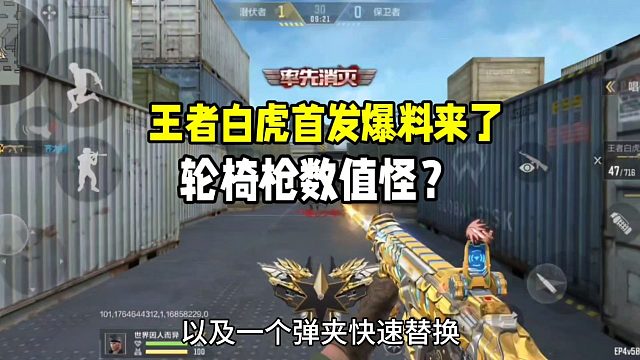 王者白虎首发爆料来了！数值怪轮椅枪？
